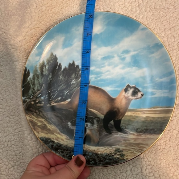 The Black Footed Ferret Will Nelson Vintage Last of Their Kind Endangered Plate - Picture 15 of 15